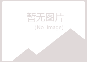 龙山区夏槐机械有限公司